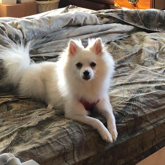 Meet your Posher, Michelle - Picture 1 of 1